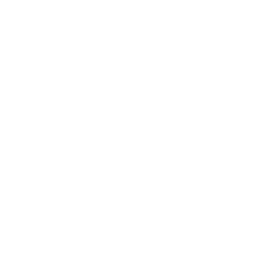 Logo Paladini